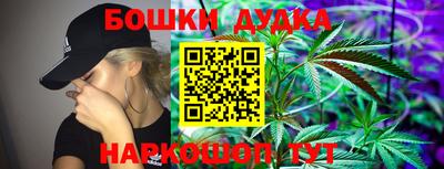 шишки Заводоуковск