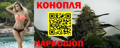 шишки Заводоуковск