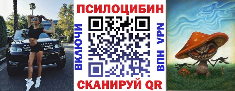 kraken как войти купить наркотики сайты Новодвинск Галлюциногенные грибы MAGIC MUSHROOMS