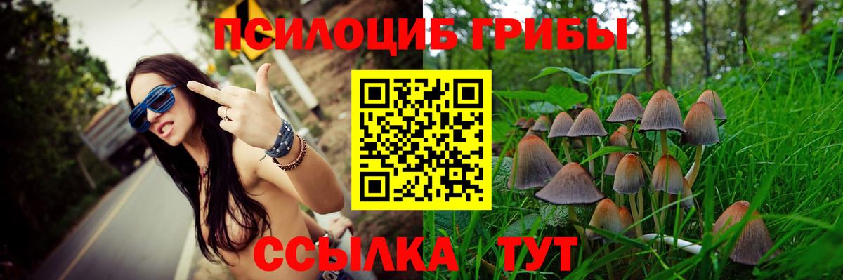 Галлюциногенные грибы MAGIC MUSHROOMS Новодвинск