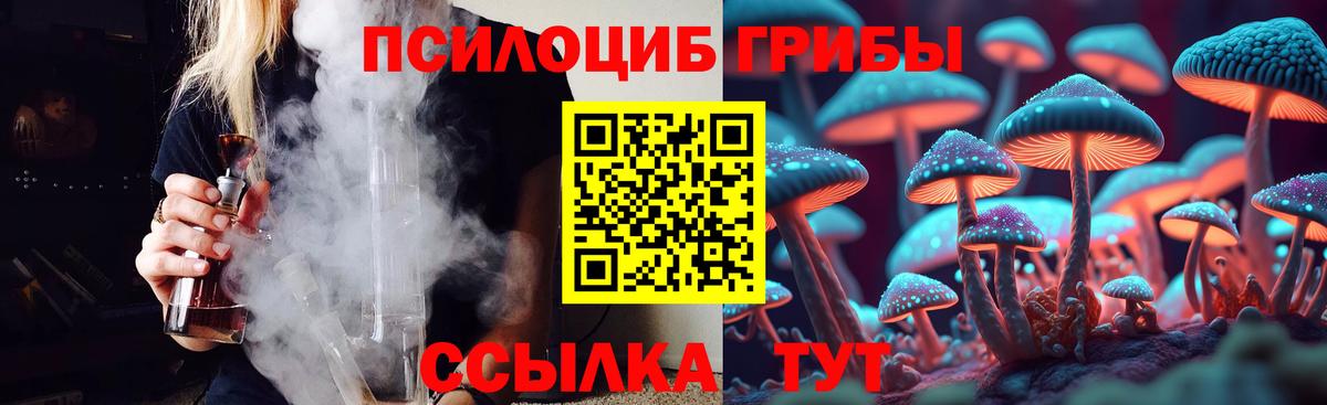 Галлюциногенные грибы MAGIC MUSHROOMS  Вход с VPN  Псилоцибиновые грибы Magic Shrooms  Новодвинск 